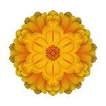 Kaleidoscope Dahlia-David Bookbinder-Art Print