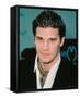 David Boreanaz-null-Framed Stretched Canvas