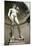 David (Bottom View)-Michelangelo Buonarroti-Mounted Giclee Print