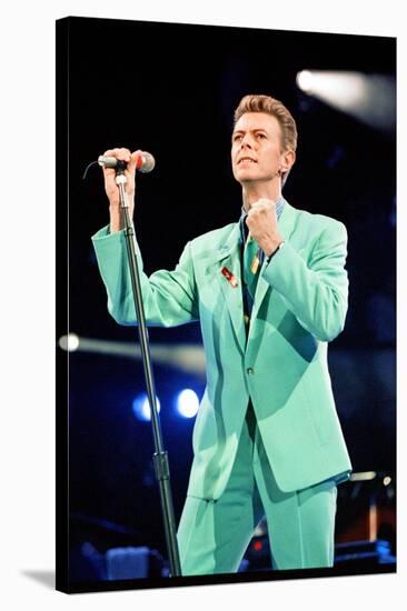 David Bowie at Freddie Mercury Tribute Concert for AIDS Awareness, Wembley Stadium, April 1992-null-Stretched Canvas