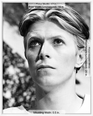David bowie coupon code