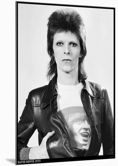 David Bowie- The Man Who Sold The World-null-Mounted Poster