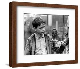 David Bradley-null-Framed Photo