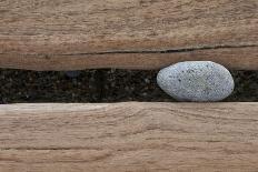 Groynes, abstract view of pebble stuck in weathered timber, West Runton, Norfolk-David Burton-Framed Photographic Print
