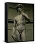 David by Michelangelo Buonarroti, 1501-04-null-Framed Stretched Canvas