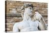 David by Michelangelo Dating from the 16th Century, Piazza Della Signoria, Florence (Firenze)-Nico Tondini-Stretched Canvas