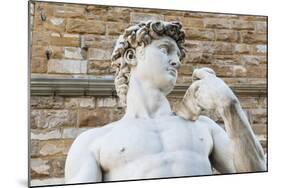 David by Michelangelo Dating from the 16th Century, Piazza Della Signoria, Florence (Firenze)-Nico Tondini-Mounted Photographic Print