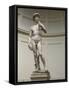 David by Michelangelo-null-Framed Stretched Canvas