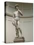 David by Michelangelo-null-Stretched Canvas