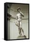 David, by Michelangelo-null-Framed Stretched Canvas