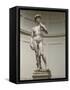 David by Michelangelo-null-Framed Stretched Canvas