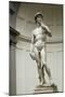 David, by Michelangelo-null-Mounted Photographic Print