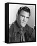David Canary-null-Framed Stretched Canvas