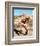 David Carradine-null-Framed Photo