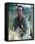 David Carradine-null-Framed Stretched Canvas