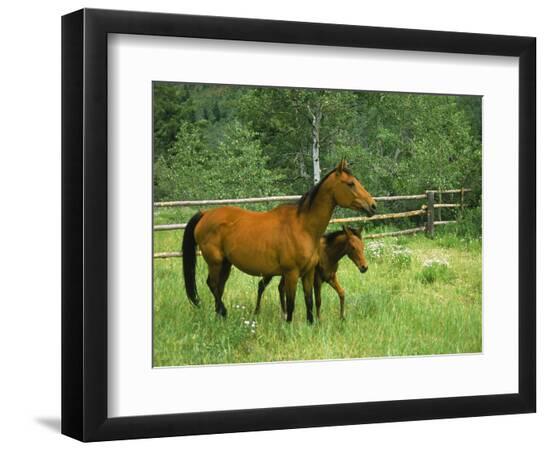 Premium Photographic Print, , large
