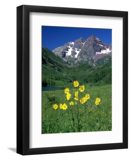 Premium Photographic Print, , large