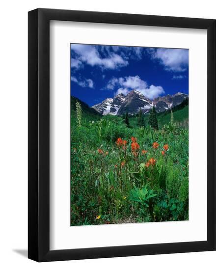 Premium Photographic Print, , large