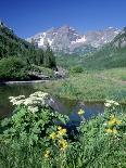 Maroon Lake and Autumn Foliage, Maroon Bells, CO-David Carriere-Framed Photographic Print