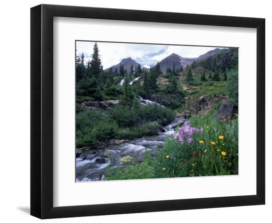 Premium Photographic Print, , large