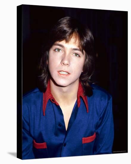 David Cassidy-null-Stretched Canvas