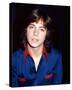 David Cassidy-null-Stretched Canvas