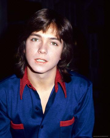 David Cassidy' Photo | AllPosters.com