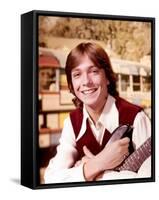 David Cassidy-null-Framed Stretched Canvas