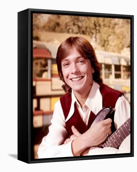 David Cassidy-null-Framed Stretched Canvas