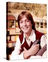 David Cassidy-null-Stretched Canvas