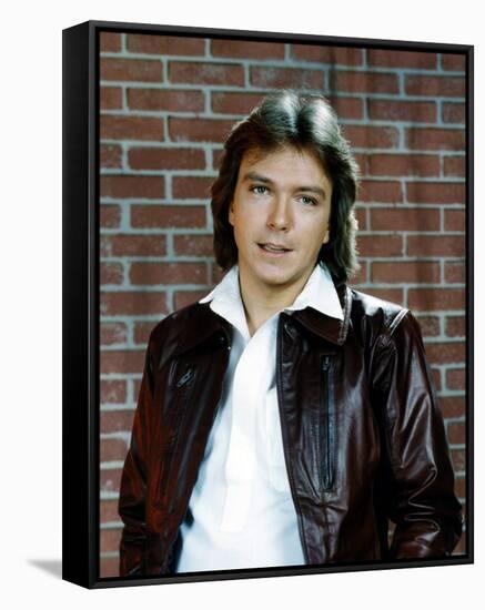 David Cassidy-null-Framed Stretched Canvas