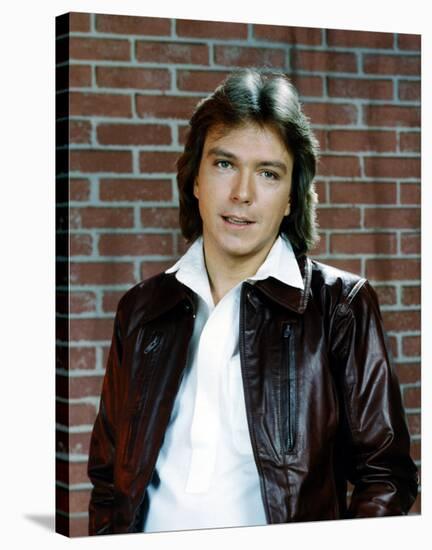 David Cassidy-null-Stretched Canvas