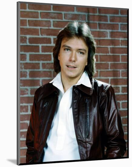 David Cassidy-null-Mounted Photo