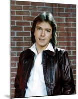 David Cassidy-null-Mounted Photo