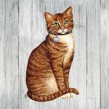 Country Kitty III on Wood-David Cater Brown-Art Print