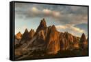 Canvas Black