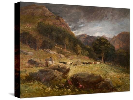 Stretched Canvas Print, , large