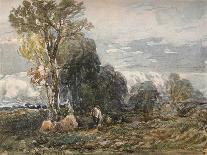 'Scotch Firs',1805-David Cox the elder-Giclee Print