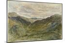 Wood Mount