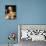 David Crosby-null-Photo displayed on a wall