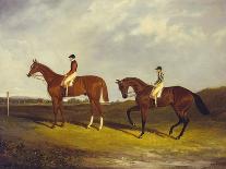 Mr. R.O. Gascoigne's 'Jerry' with B. Smith Up on Doncaster Racecourse-David Dalby of York-Giclee Print