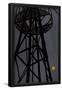 Essential Black