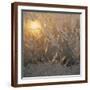 Brown Frame