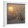White Frame
