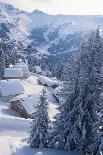 Snow Covered House and Trees-David De Lossy-Photographic Print