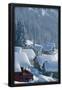 Essential Black