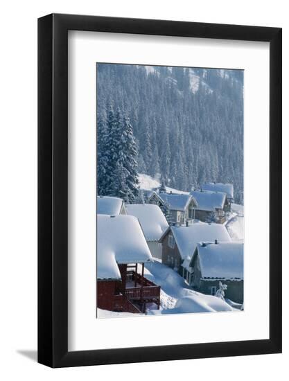 Premium Photographic Print, , large