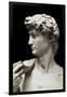 David (detail), 1504 (marble)-Michelangelo Buonarroti-Framed Giclee Print