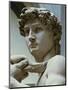 David, Detail of the Head, 1504-Michelangelo Buonarroti-Mounted Giclee Print