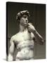 David, Detail-Michelangelo Buonarroti-Stretched Canvas